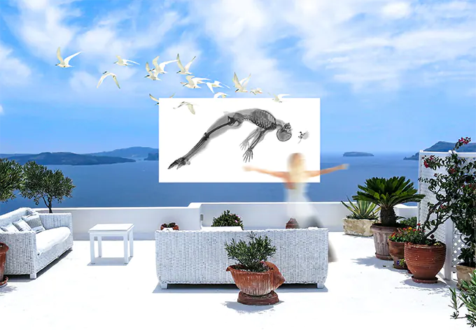 ADAN galeria DEF COMBI