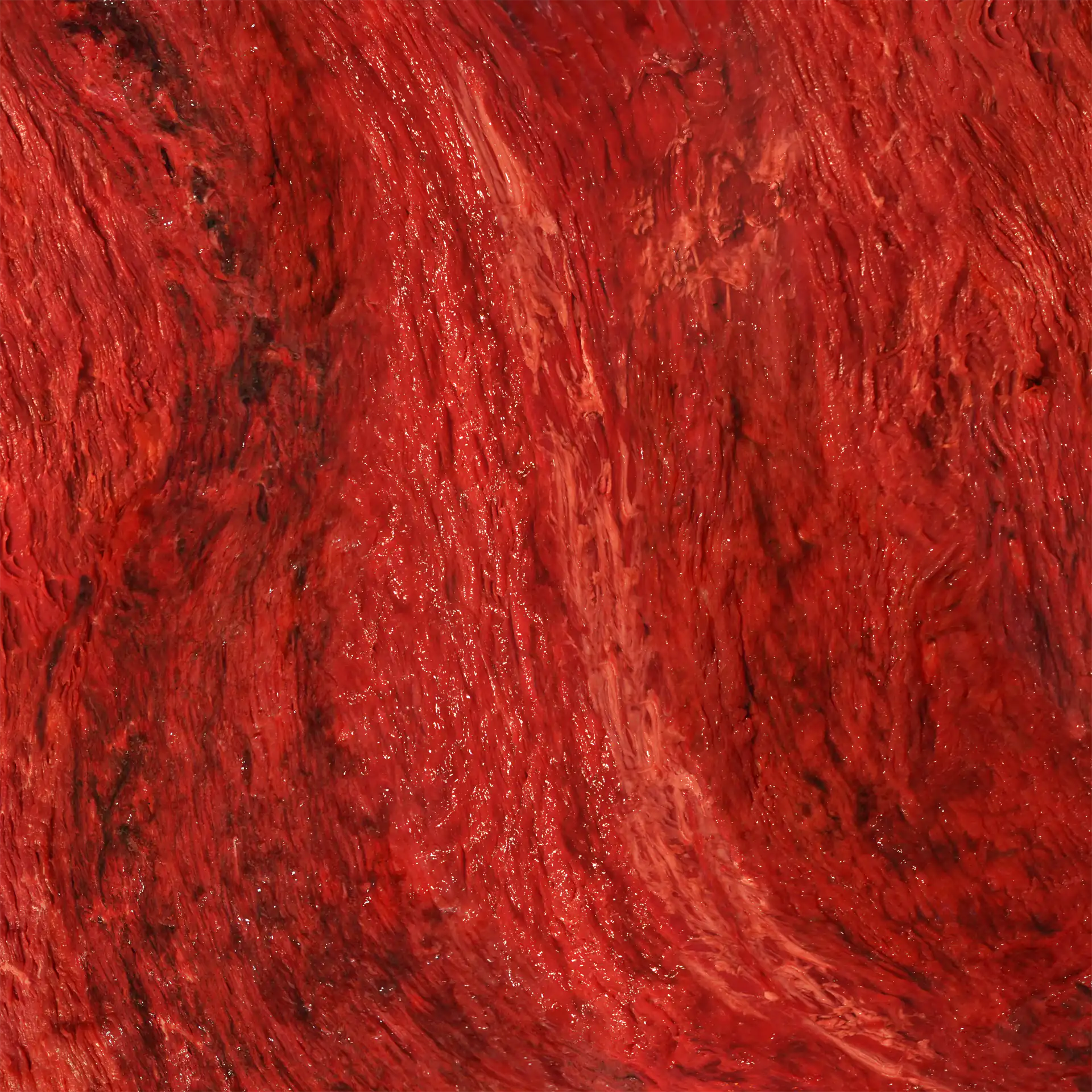 CARNE1920x1920srgb72ppp