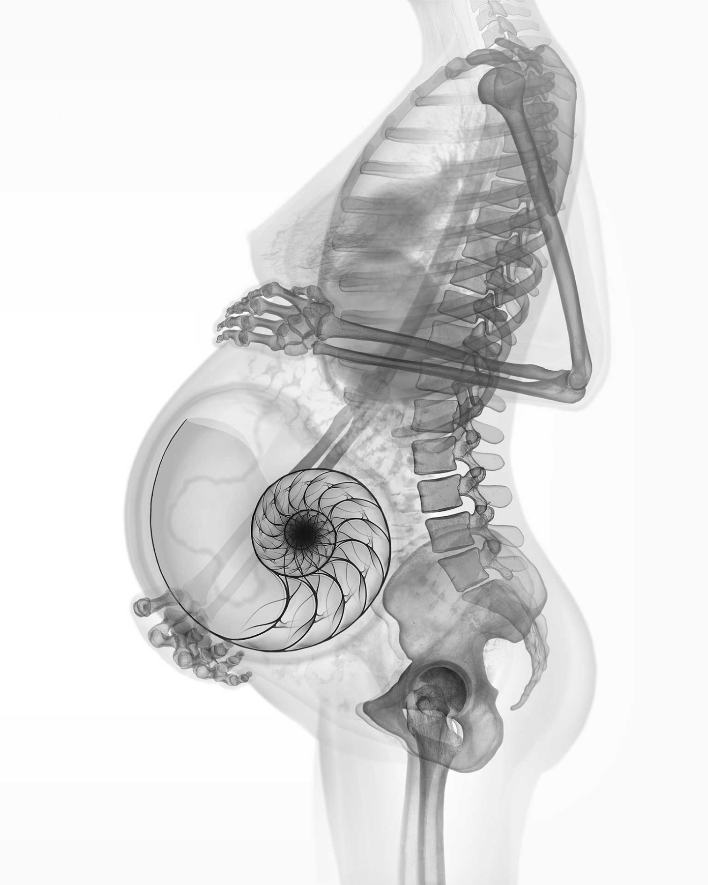 Eve Printed Version 150ppp uai 1440x1800